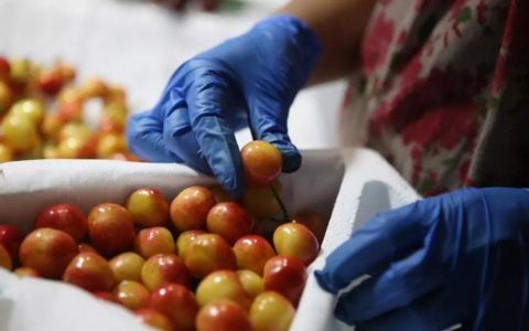 吃臭豆腐患肝癌？真相在这里