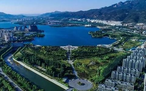 山东省泰安市成立传统文化研究会