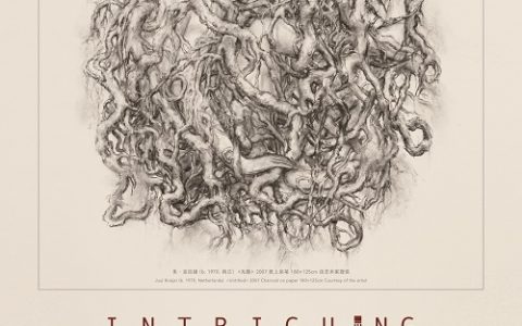 奇妙的不确定性， 罗兰·艾格策划，聚焦当代绘画