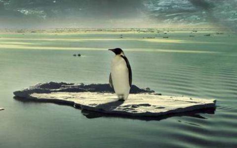 国际电台5月25日新闻播音