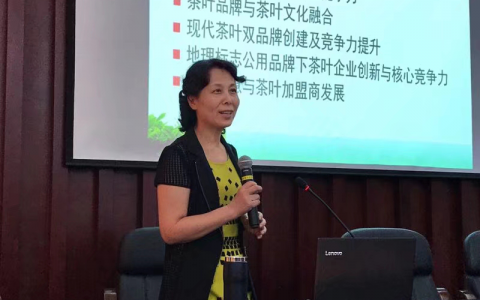 “绿水青山就是金山银山” —-2019年中国非物质文化遗产传承人群培训班 （绿茶制作技艺）