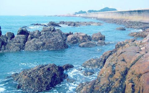 国际电台6月29日新闻播报