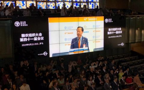 国际新闻网国际电台6月24日联合国快讯