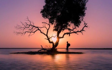 国际电台6月21日新闻播音