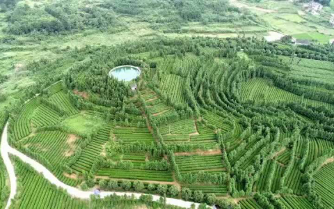 湖南新化枫林街道：产业发展助力脱贫攻坚