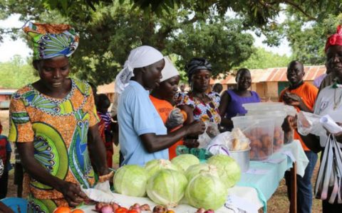 联合国报告：全球饥饿人数超过8.2亿经济衰退和不平等加剧粮食不安全
