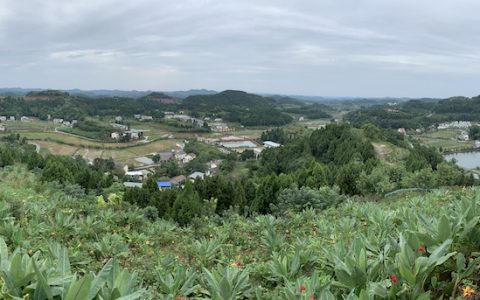 幸福美丽拱市村的蝶变史