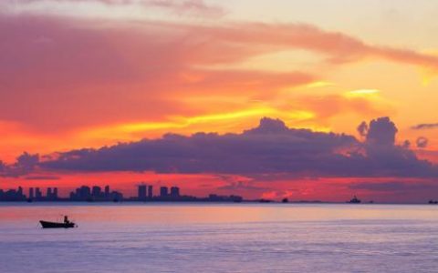 国际新闻网|国际电台10月20日新闻播音