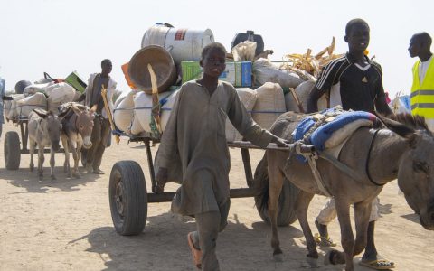 喀麦隆反对派领导人及大批支持者获释联合国秘书长表示欢迎