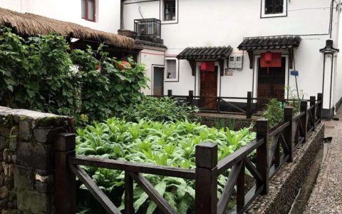 别让农民不食人间烟火