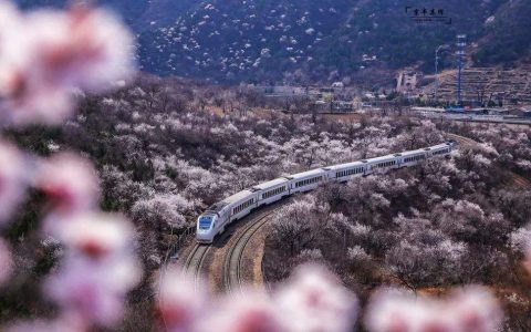 国际新闻网|国际电台11月16日新闻播音