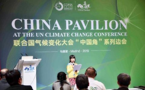 9岁中国“熊猫女孩”联合国演讲火了，网友点名瑞典环保“公主”