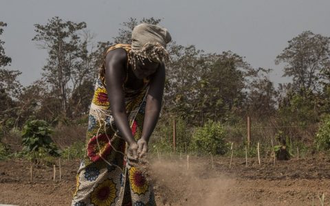 中非共和国260万人急需援助联合国启动2020年人道主义应对计划