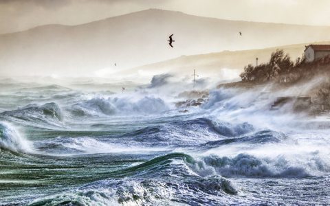 联合国报告：过去十年全球异常高温气候变化构成的健康风险与日俱增