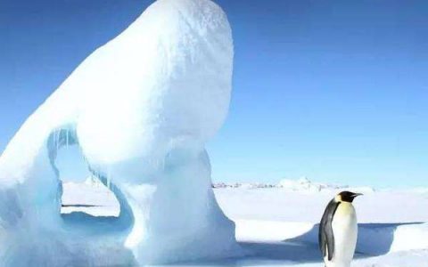 国际新闻网|国际电台12月6日新闻播音