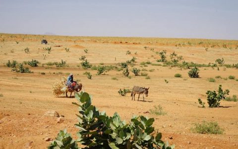 联合国欢迎苏丹过渡政府与达尔富尔反对派武装签署和平框架协议