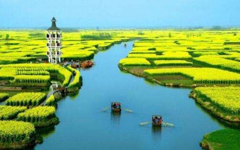 农业部门在减缓气候变化方面具有举足轻重的地位