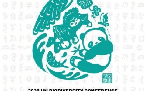 2020年联合国生物多样性大会会标发布