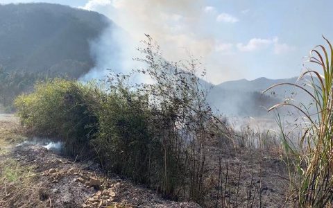 村民疑因对扶贫工程不满火烧茶园