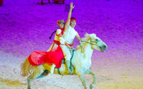 骏马雄风——中国马都内蒙古锡林郭勒盟马产业发展纪实