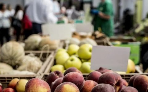 全球食品价格回升 谷物产量将创历史新高