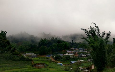 脱贫攻坚带头人    ——访纳卡茶叶专业合作社社长曼吕村党总支部书记杨利民