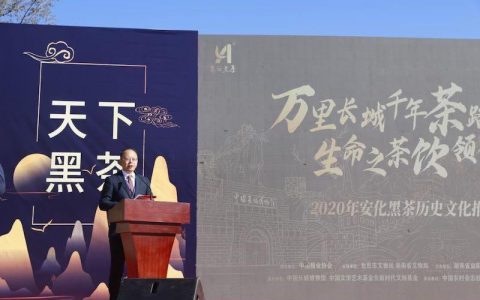 万里长城千年茶路生命之茶“饮”领健康安化黑茶历史文化推介会在长城脚下举行
