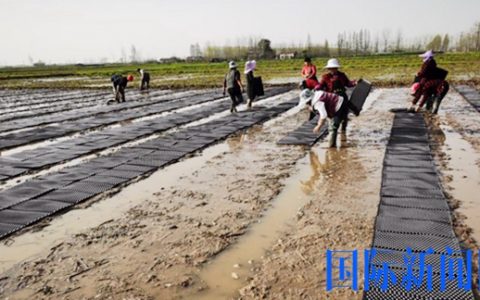 常德市西湖管理区农业农村局全速推进春耕生产
