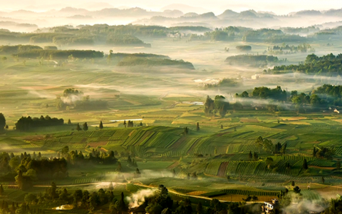 “红绿交辉趁芳华 清明遵义来采茶”主题文旅营销活动开幕