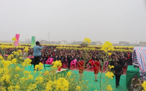 常德鼎城：6万亩油菜花竞相绽放