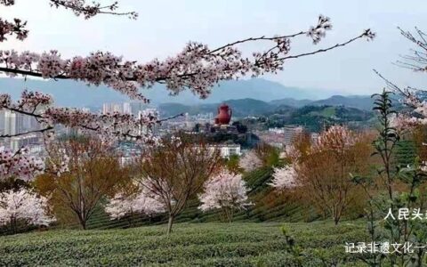 当好东道主 喜迎茶博会