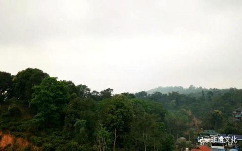 茶马史诗 润贡天朝 ——第四届“龙润茶节”暨皇家贡茶探源之旅（南糯山站）圆满举行！