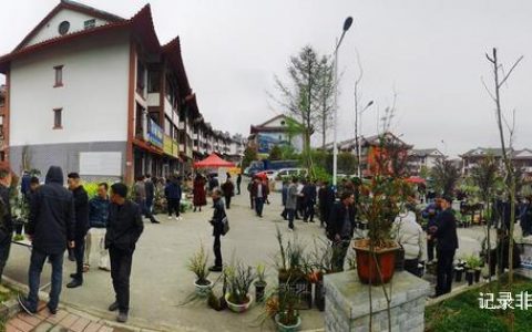 “花酒联姻”助推乡村旅游发展