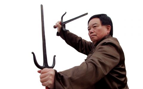 数风流人物 看梅山武功 ——当代“武林百杰”、国家级非物质文化遗产代表性项目代表传承人晏西征