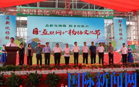 新化2021“互联网+”杨梅文化节|品新化杨梅 助乡村振兴