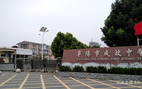 奋斗百年路 启航新征程 ——安徽阜阳市成效中学向党的百年华诞献礼!