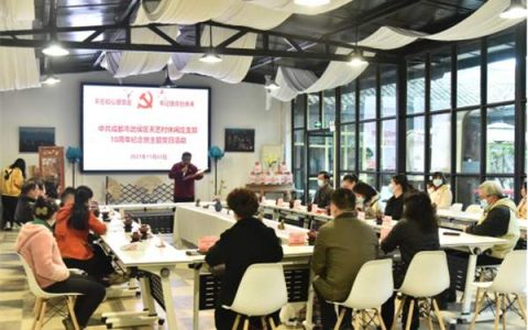 成都市武侯区天艺村党支部举办10周年纪念主题党日活动