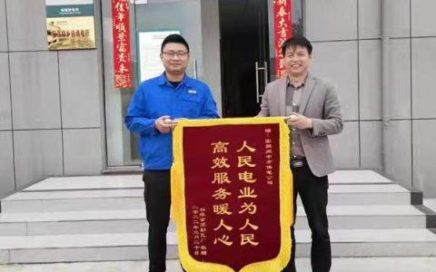 四川阆中依托“网上电网”全力服务乡村振兴