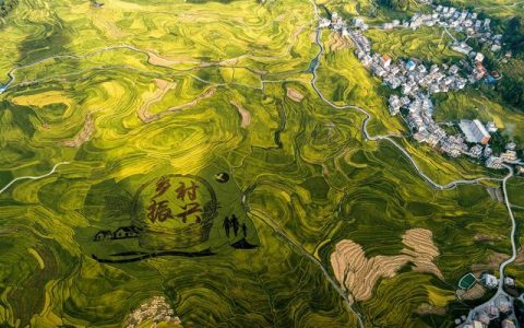 汇聚企业社会责任力量助力乡村振兴