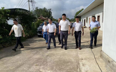 【东西部协作】浙江农林大学黄精产业服务“万里行” 、国家黄精产业首席专家斯金平教授到阆中文成镇调研黄精产业