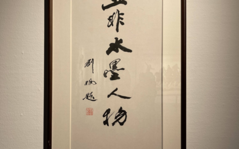 《亚非水墨人物》画展在宁波美术馆开幕