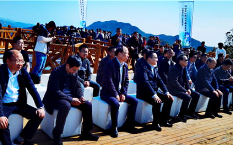 春风又绿天台山，邀你去浙江宁海桑洲镇品茶赏花