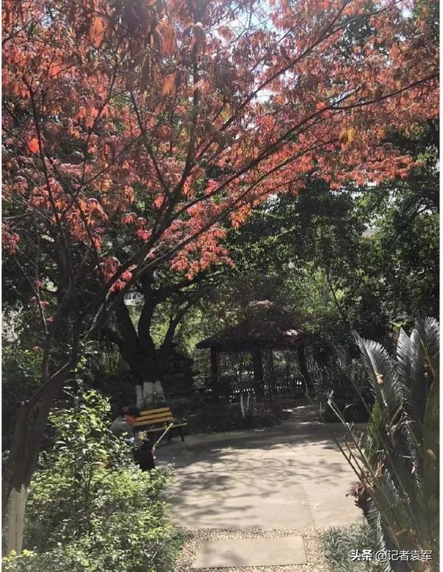 文章图片3
