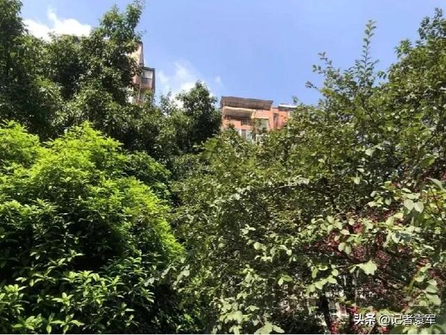文章图片2