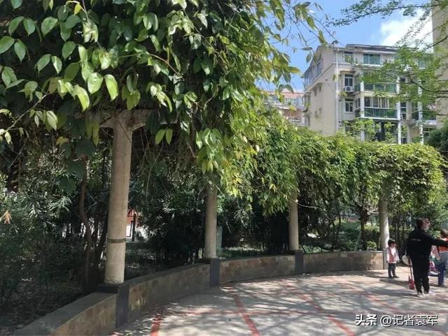 文章图片5