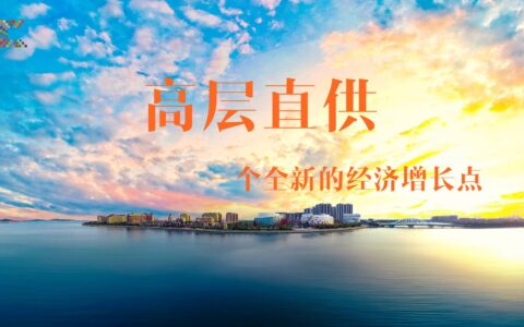 陈渭祺：论高层直供的必要性及市场意义——一个全新的经济增长点