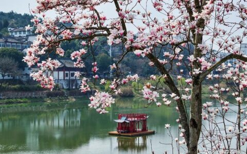 着眼国际化、世界级 “大黄山”绘制超万亿规模“施工图”