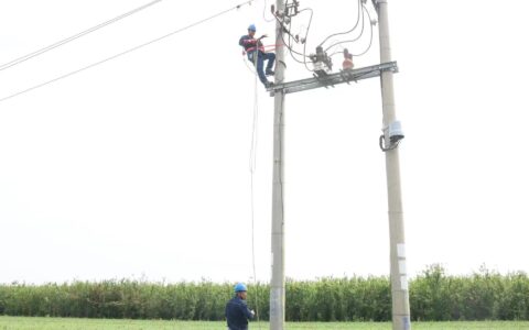 国网华辰供电公司：电力春检精巡视 筑牢电网“防火墙”