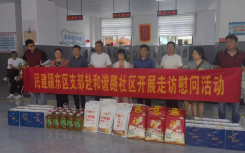 民建颍东区支部赴和谐路社区开展走访慰问活动