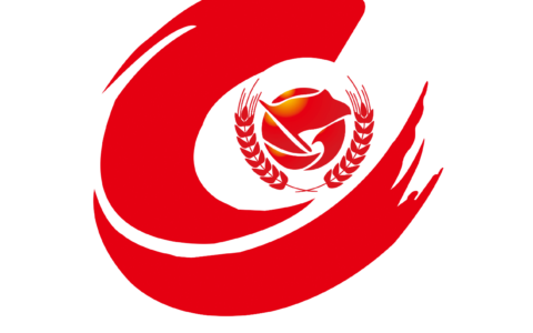 健康中国青少年军校大会意义重大  培养文明精神 强健体魄合格接班